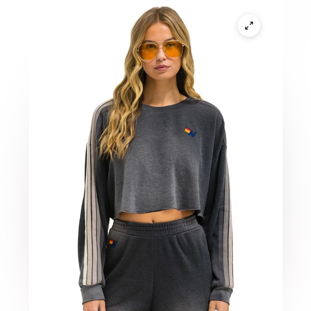 Aviator Nation Charcoal Cropped Hoodie with Stripe Detail